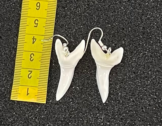 Real Mako Shark Teeth Earrings - No6