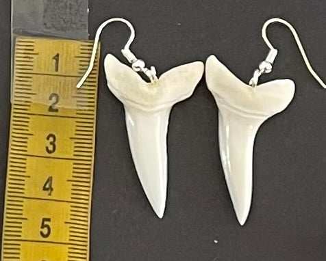 Real Mako Shark Teeth Earrings - No 24