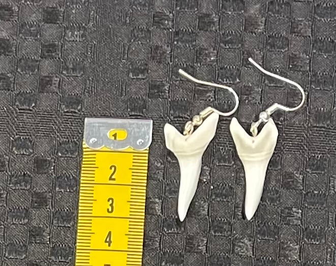 Real Mako Shark Teeth Earrings - No6