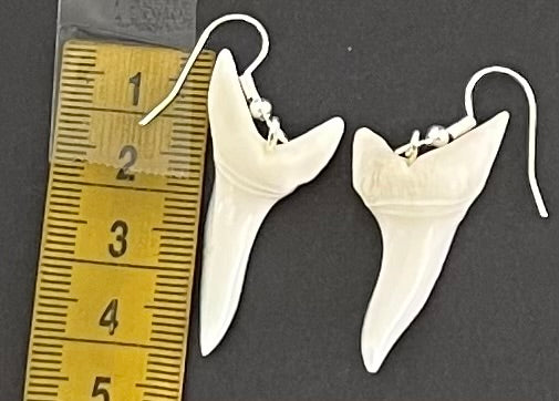 Real Mako Shark Teeth Earrings - No9