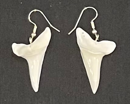 Real Mako Shark Teeth Earrings - No11