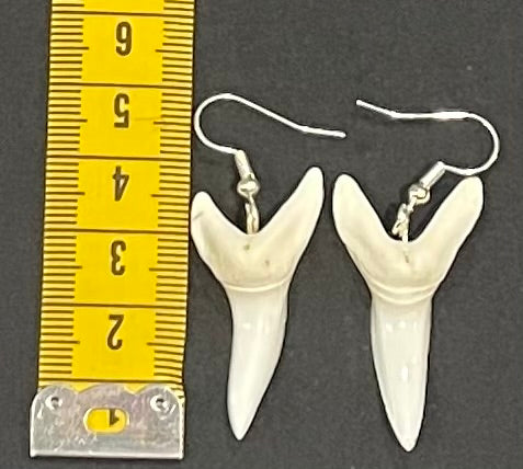 Real Mako Shark Teeth Earrings - No16