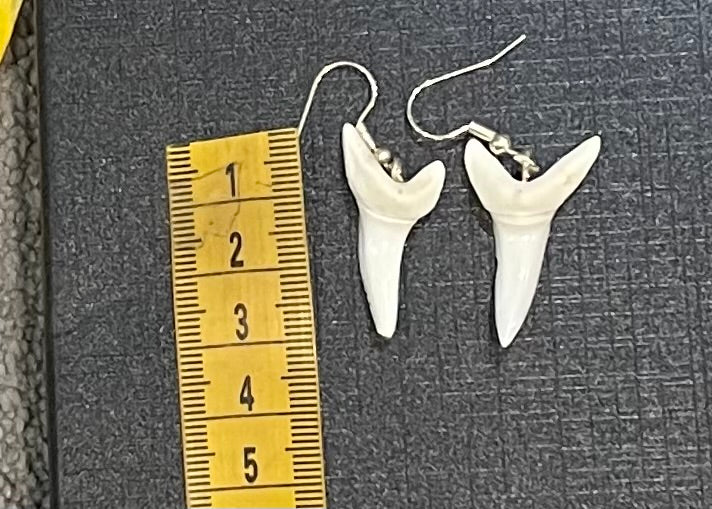 Real Mako Shark Teeth Earrings - No3