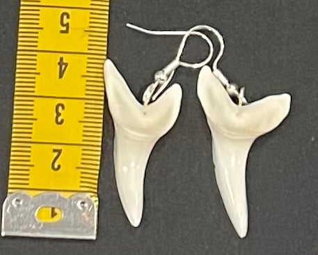 Real Mako Shark Teeth Earrings - No15