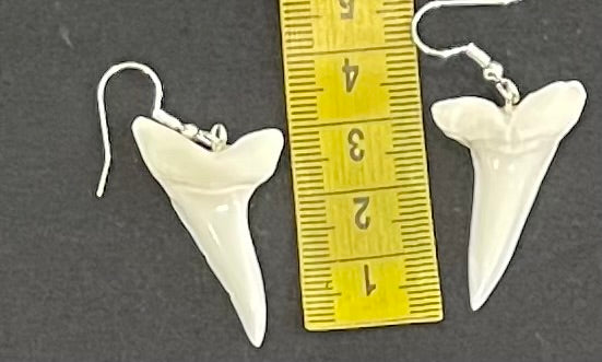 Real Mako Shark Teeth Earrings - No4