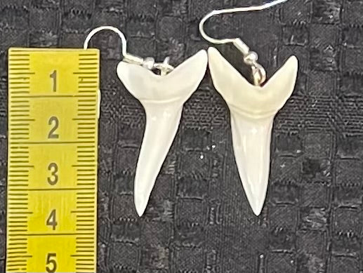 Real Mako Shark Teeth Earrings - No7