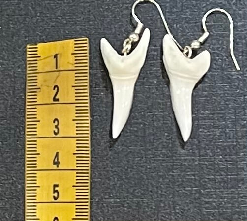 Real Mako Shark Teeth Earrings - No1