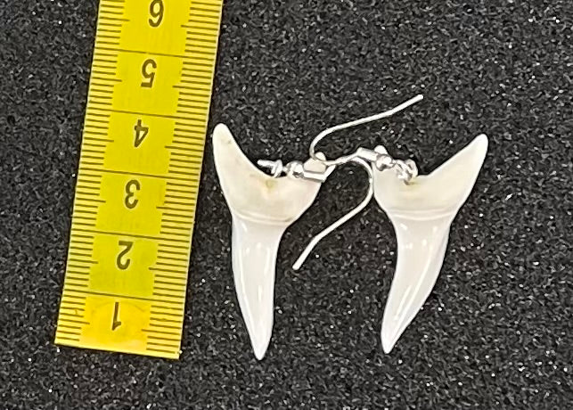 Real Mako Shark Teeth Earrings - No 2