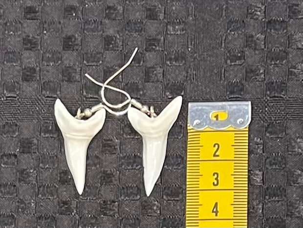 Real Mako Shark Teeth Earrings - No5