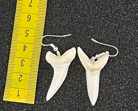 Real Mako Shark Teeth Earrings - No8