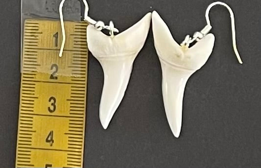 Real Mako Shark Teeth Earrings - No 25