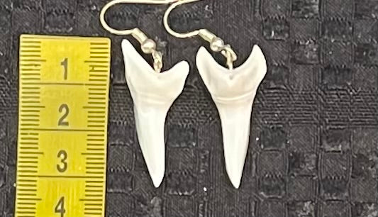 Real Mako Shark Teeth Earrings - No10