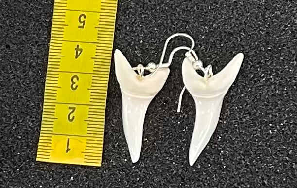 Real Mako Shark Teeth Earrings - No1