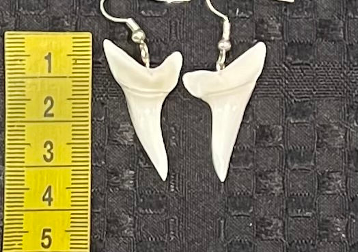 Real Mako Shark Teeth Earrings - No14