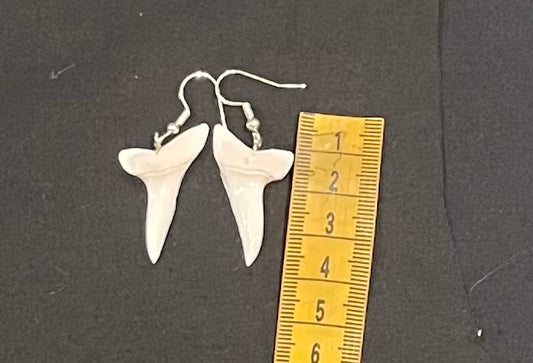 Real Mako Shark Teeth Earrings - No 2
