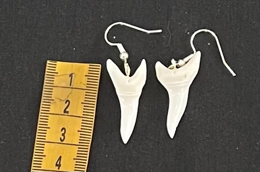 Real Mako Shark Teeth Earrings - No16