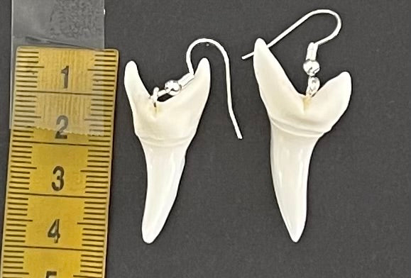 Real Mako Shark Teeth Earrings - No5