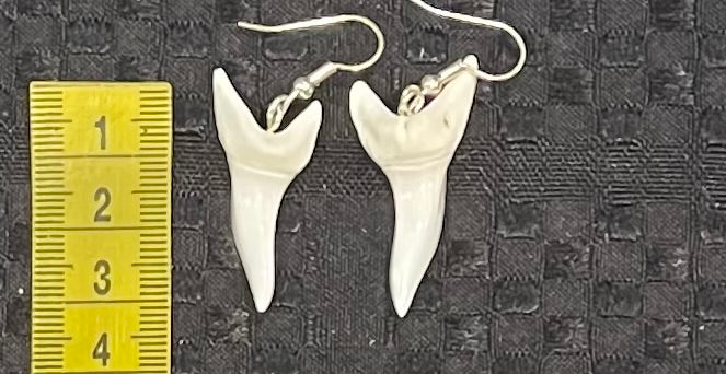 Real Mako Shark Teeth Earrings - No15