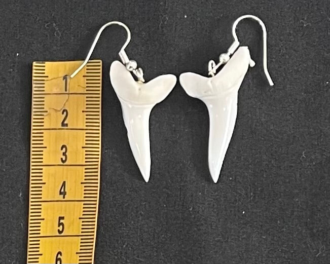 Real Mako Shark Teeth Earrings - No2