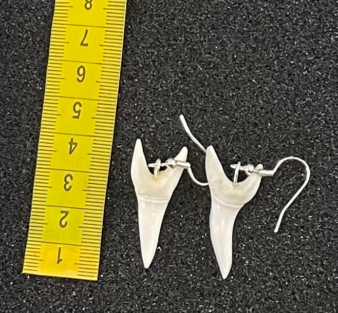 Real Mako Shark Teeth Earrings - No 4