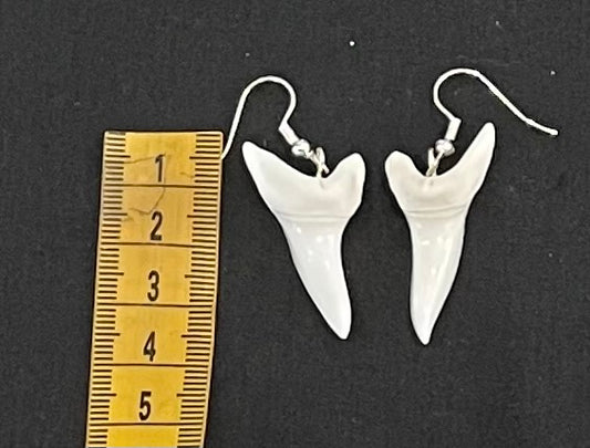 Real Mako Shark Teeth Earrings - No12