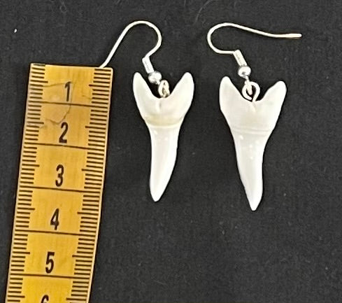 Real Mako Shark Teeth Earrings - No13