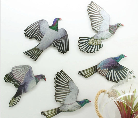 Wood pigeon Birds - Wall Art