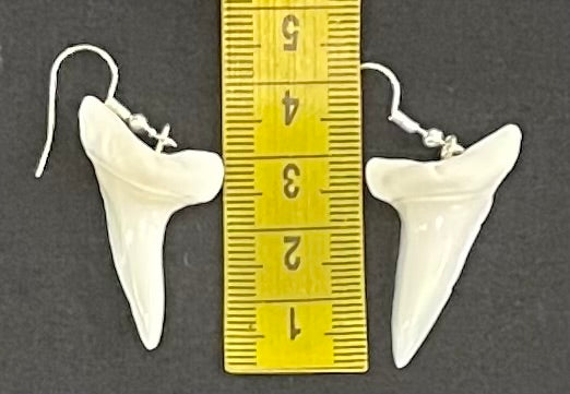 Real Mako Shark Teeth Earrings - No1