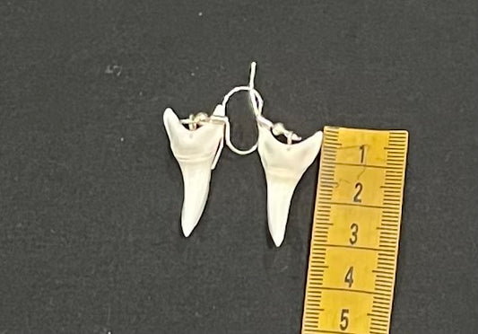 Real Mako Shark Teeth Earrings - No 9