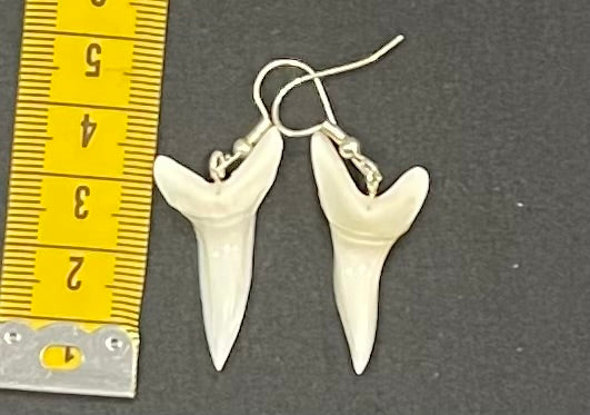 Real Mako Shark Teeth Earrings - No17