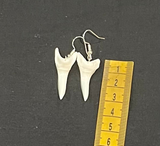 Real Mako Shark Teeth Earrings - No 12