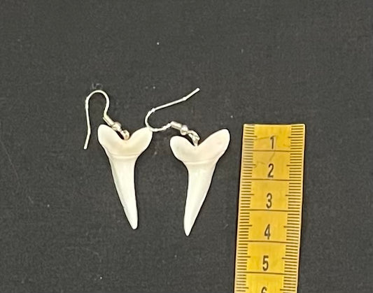 Real Mako Shark Teeth Earrings - No 11