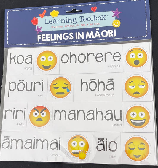 Maori Feelings - Magnets