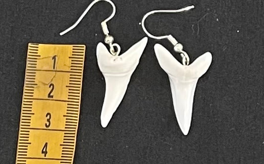 Real Mako Shark Teeth Earrings - No17