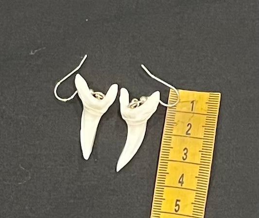 Real Mako Shark Teeth Earrings - No3