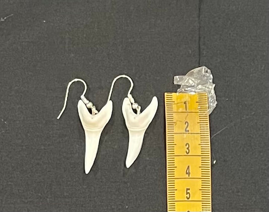 Real Mako Shark Teeth Earrings - No 1