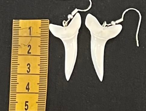 Real Mako Shark Teeth Earrings - No10