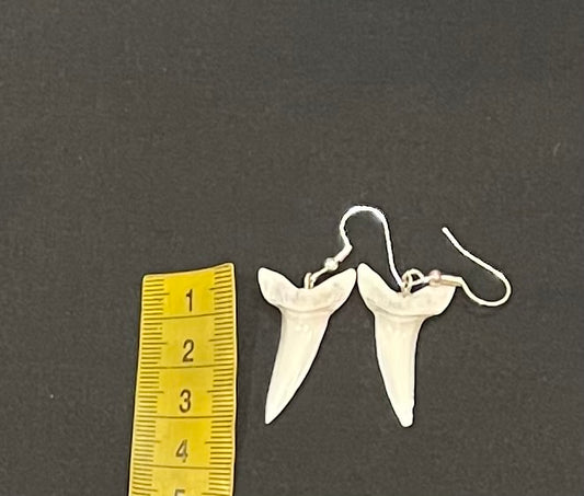 Real Mako Shark Teeth Earrings - No 17