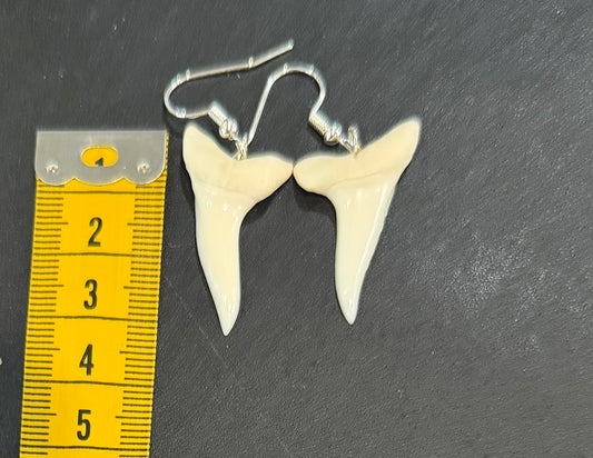 Real Mako Shark Teeth Earrings - No 24