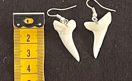 Real Mako Shark Teeth Earrings - No 23