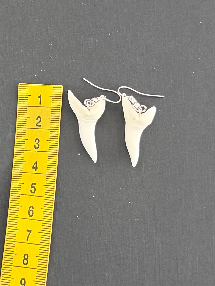 Real Mako Shark Teeth Earrings - No 8