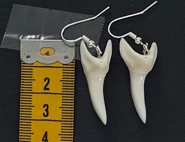 Real Mako Shark Teeth Earrings - No 11