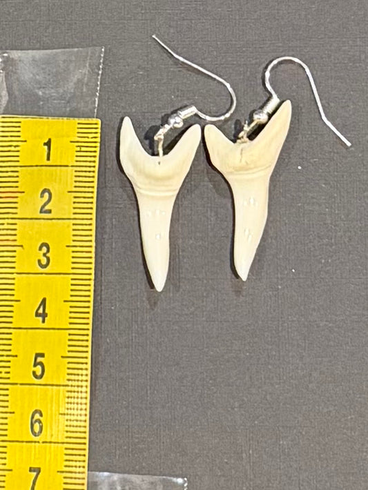 Real Mako Shark Teeth Earrings - No 7