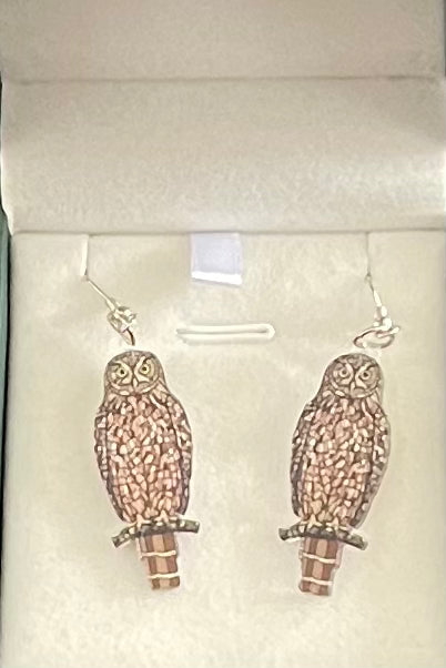 Owl-shaped earrings in a clear display case on a white background