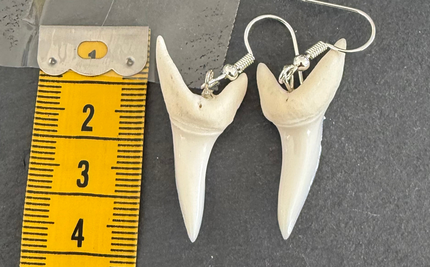 Real Mako Shark Teeth Earrings - No 4