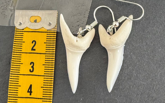 Real Mako Shark Teeth Earrings - No 4