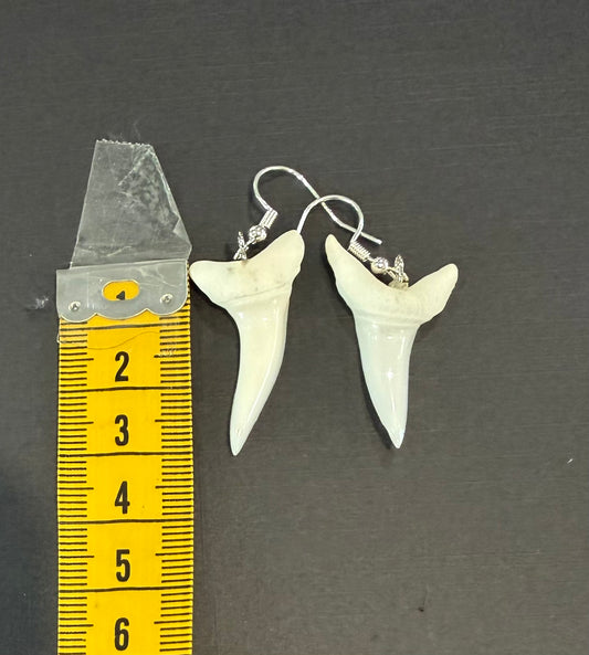 Real Mako Shark Teeth Earrings - No 5