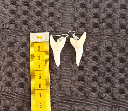 Real Mako Shark Teeth Earrings - No 15