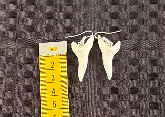 Real Mako Shark Teeth Earrings - No 8