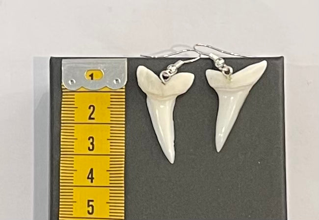 Real Mako Shark Teeth Earrings - No 4